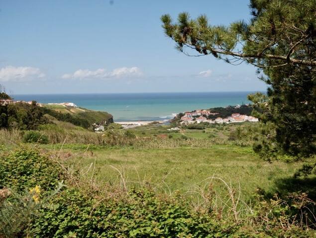 Vale da Praia Beach House, Sea view, Swimming Pool gallery image 5