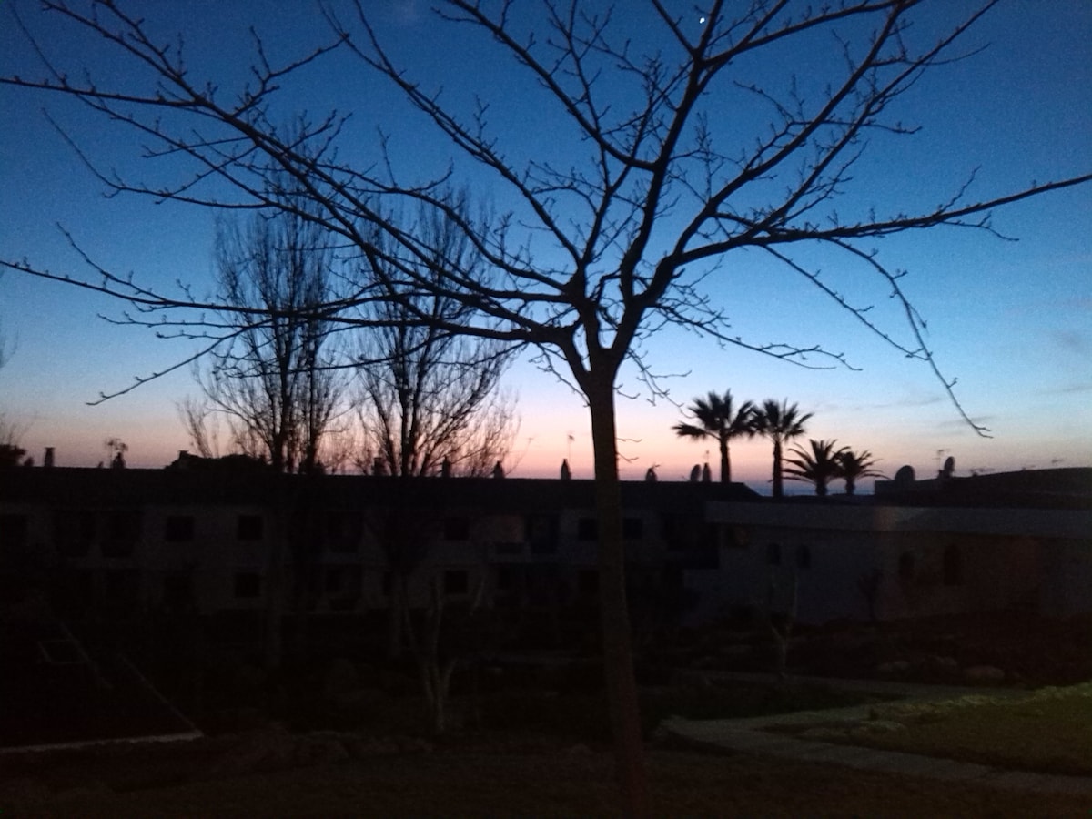 A serene twilight scene features silhouetted trees against a softly colored sky transitioning from blue to pink. The outlines of nearby buildings are visible, creating a calm atmosphere in the fading light.