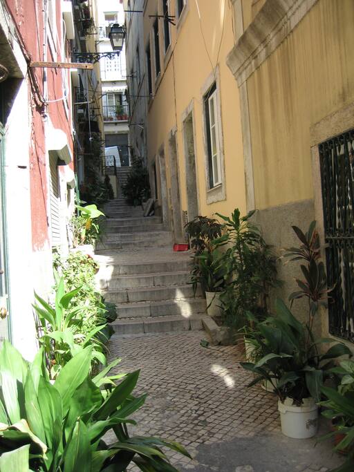 Ruelle en escaliers typique
the typical lane with stairs