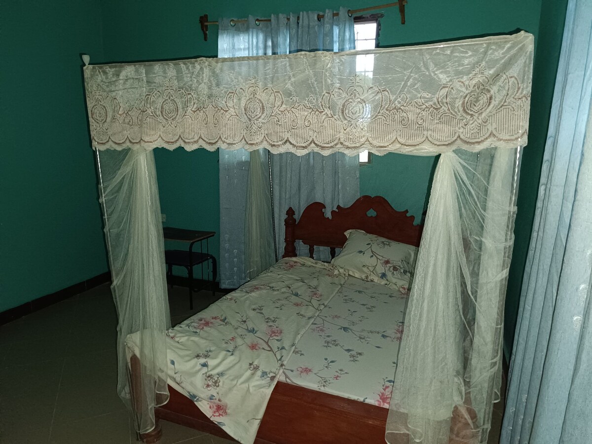 A spacious bed with a decorative canopy is positioned against a vibrant green wall. The bed is adorned with a floral-patterned bedding set. Sheer curtains frame the window, while a simple table is nearby, providing additional functionality to the room.