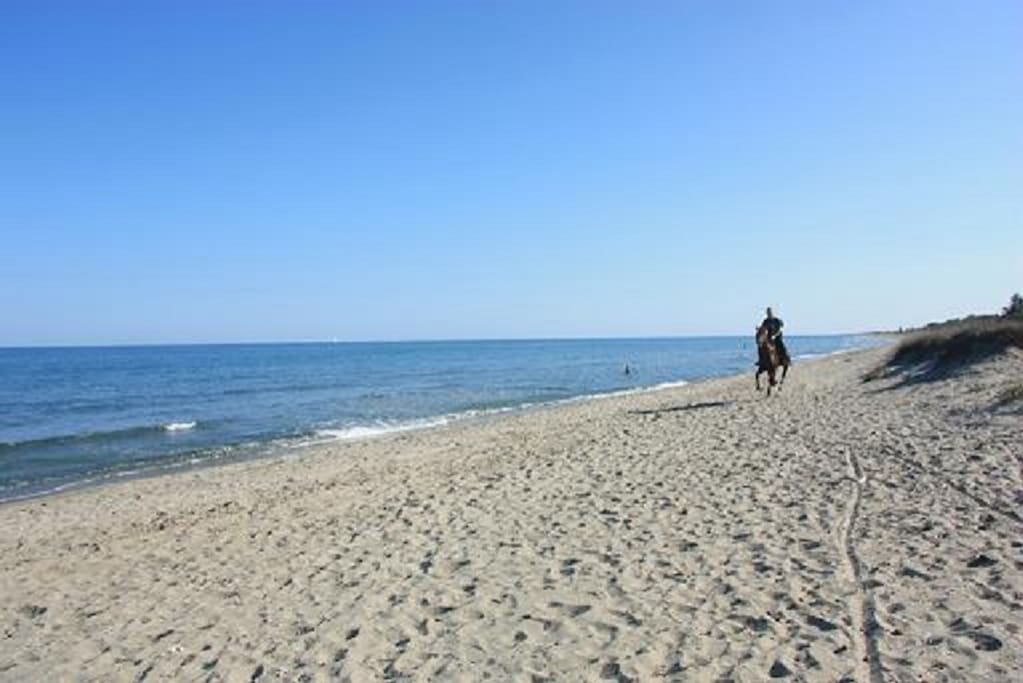 La plage du village