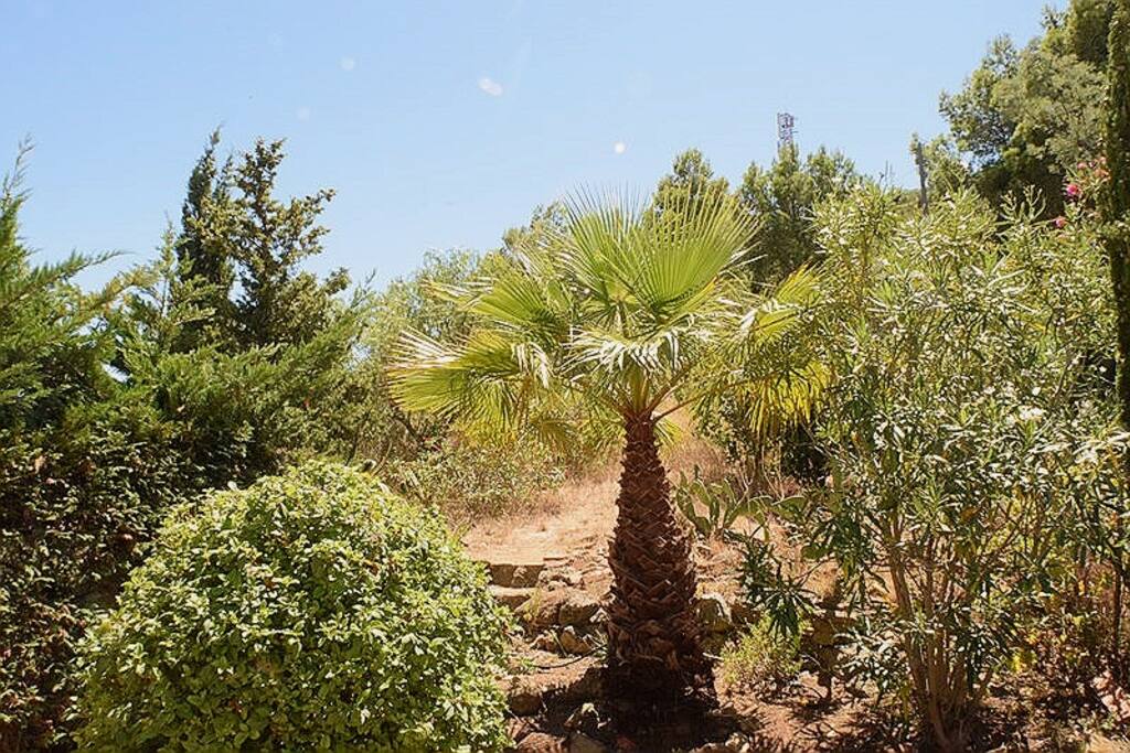 Jardin
