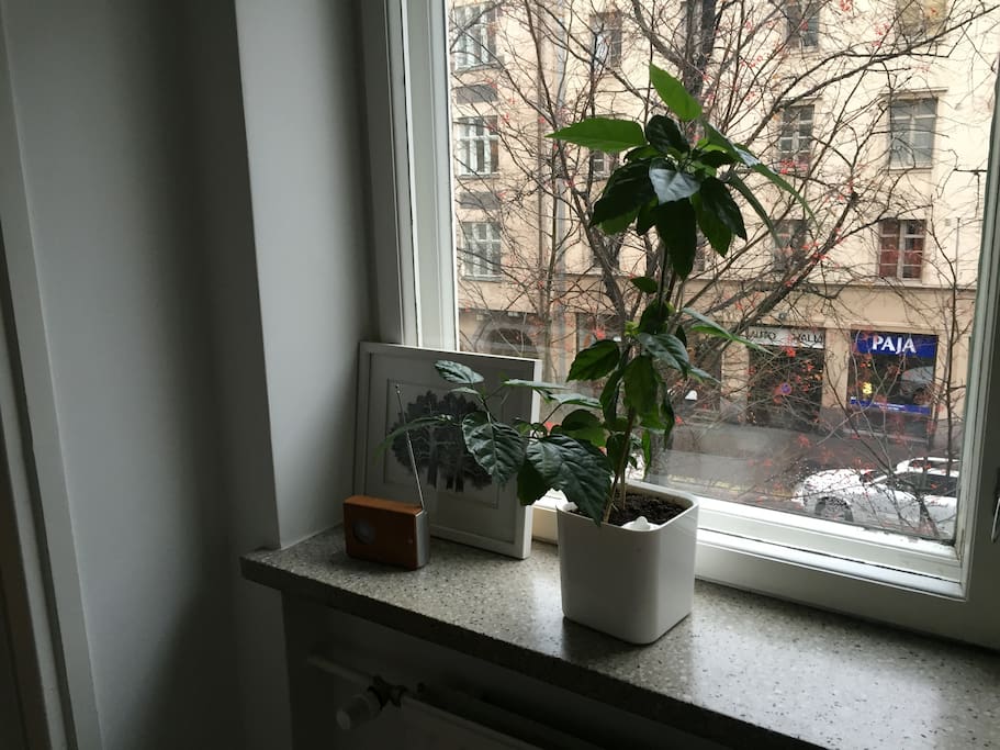 We have lots of plants that make the indoor air quality good!