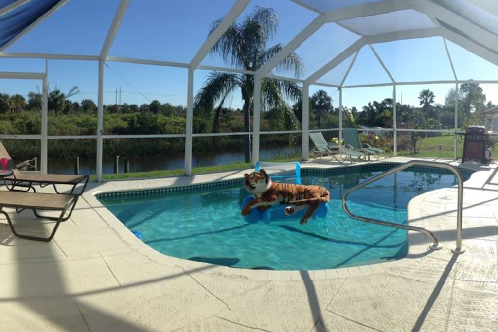 Top 100 Airbnb Rentals 2017 in Punta Gorda, Florida