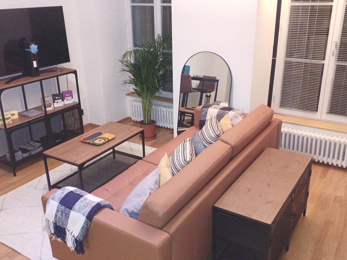 Top Airbnb: beautiful apartment, old city, free bus in Luzern