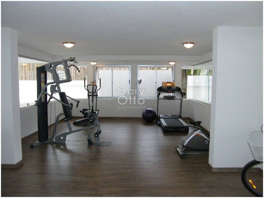 GIM