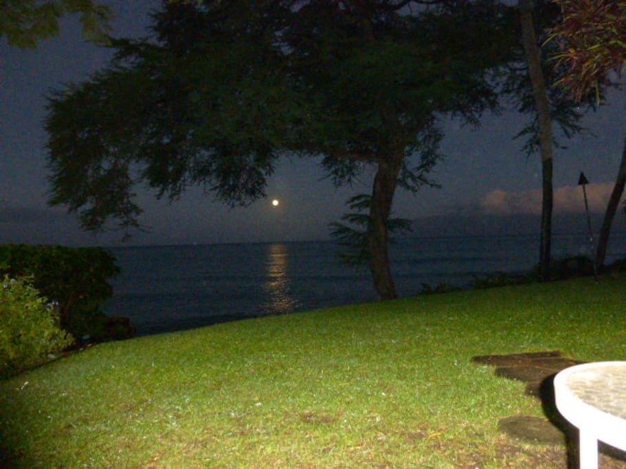 why sleep when you can watch the moon settle into the ocean