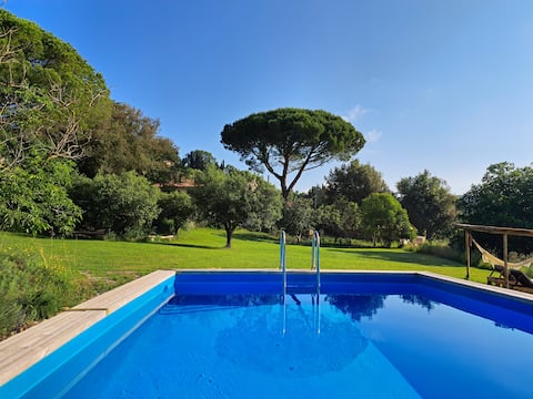 Podere Le Lame – Olive Tree