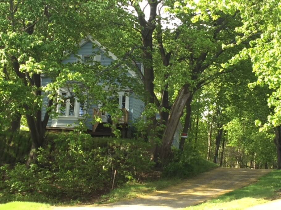 The Blue Farmhouse