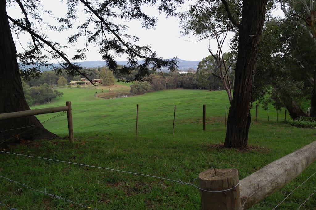 View of property from boundary