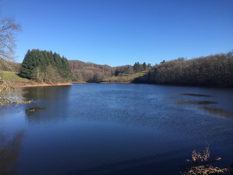 le Lac de Chaumecon ce matin dimanche 15 janvier