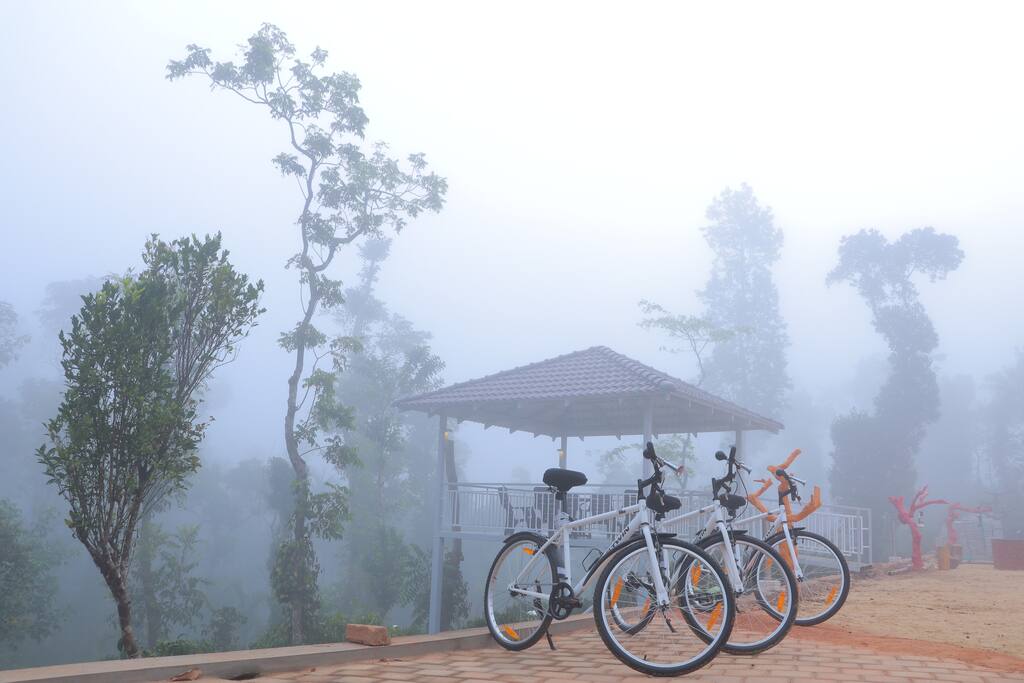 Early morning misty view