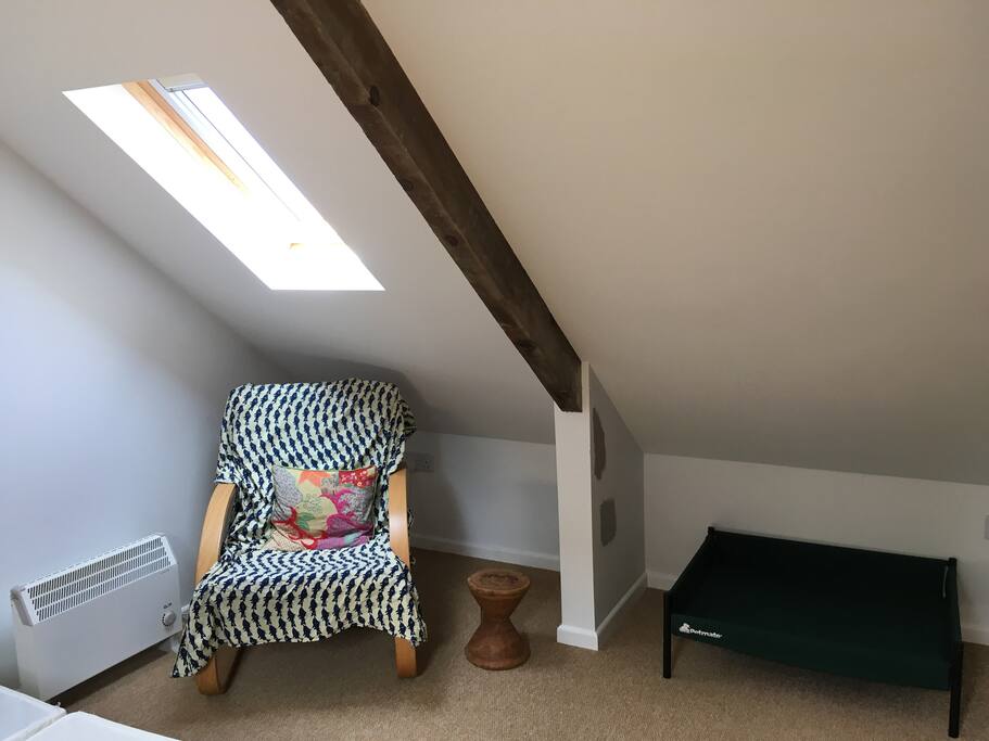 Comfy chair and guest dog bed