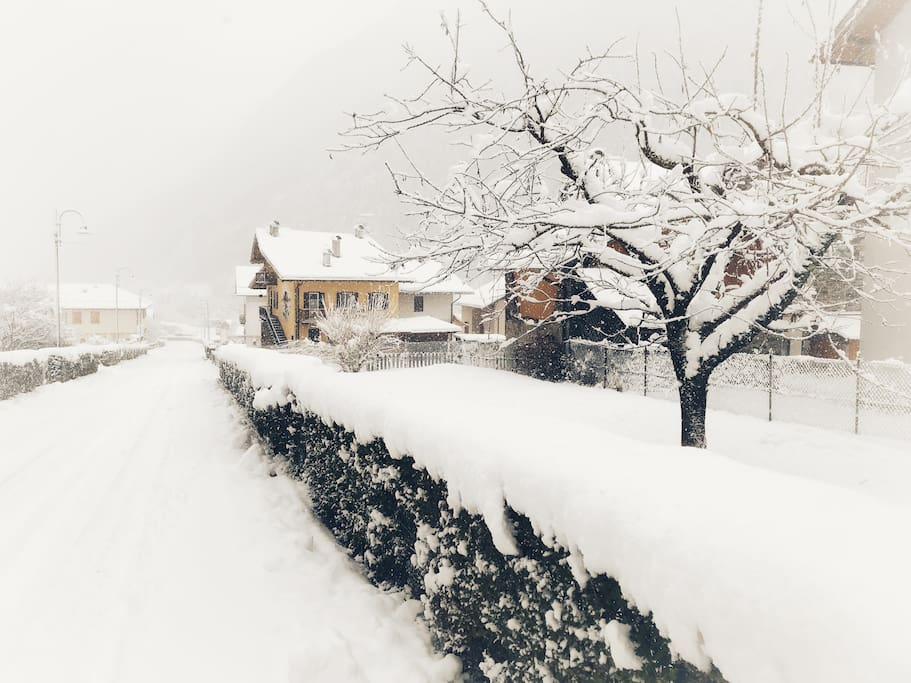 House view in winter