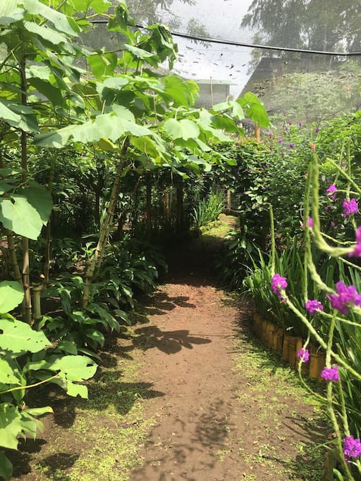 The entrance to the butterfly garden