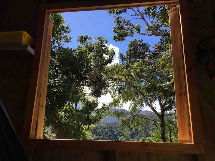 The Sugar Shack A Unique Cabin In The Rainforest - Puerto Rico