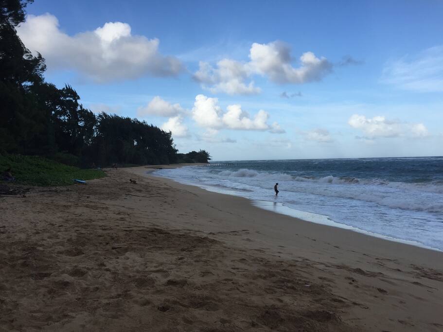 You can hear the ocean when the waves are big!