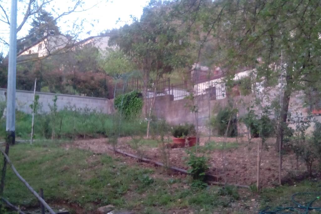 vista posteriore