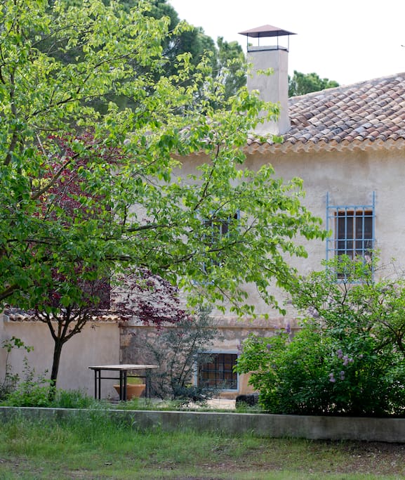 PATIO/PINAR