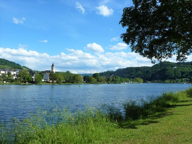 40sqm directly on the Moselle with Moselwiese & Grillplatz