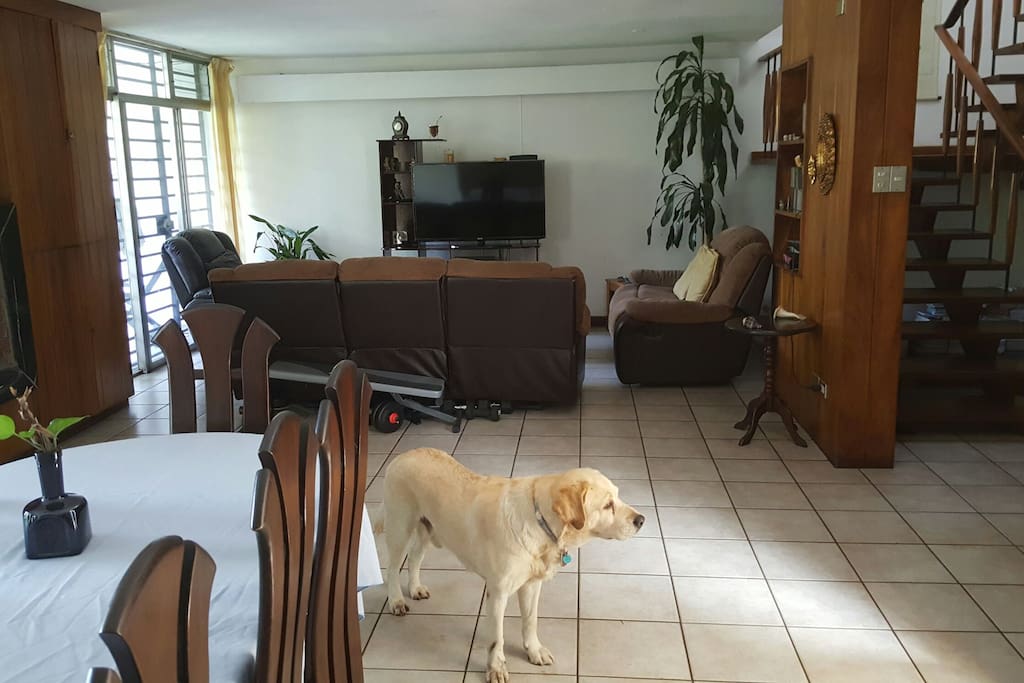 Dinning room