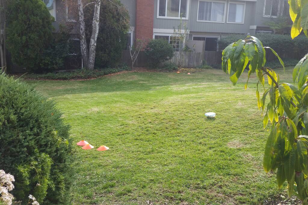 Back yard community grass area