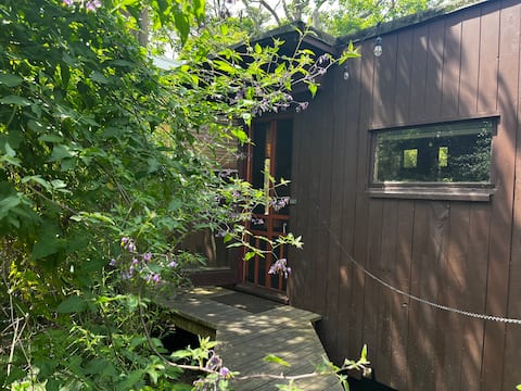 Top performing Airbnb: Fire Island Pines: Studio Cabin in Fire Island