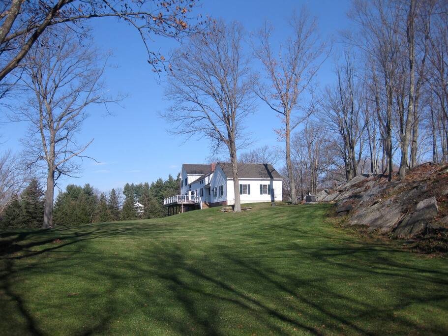 View from the garden