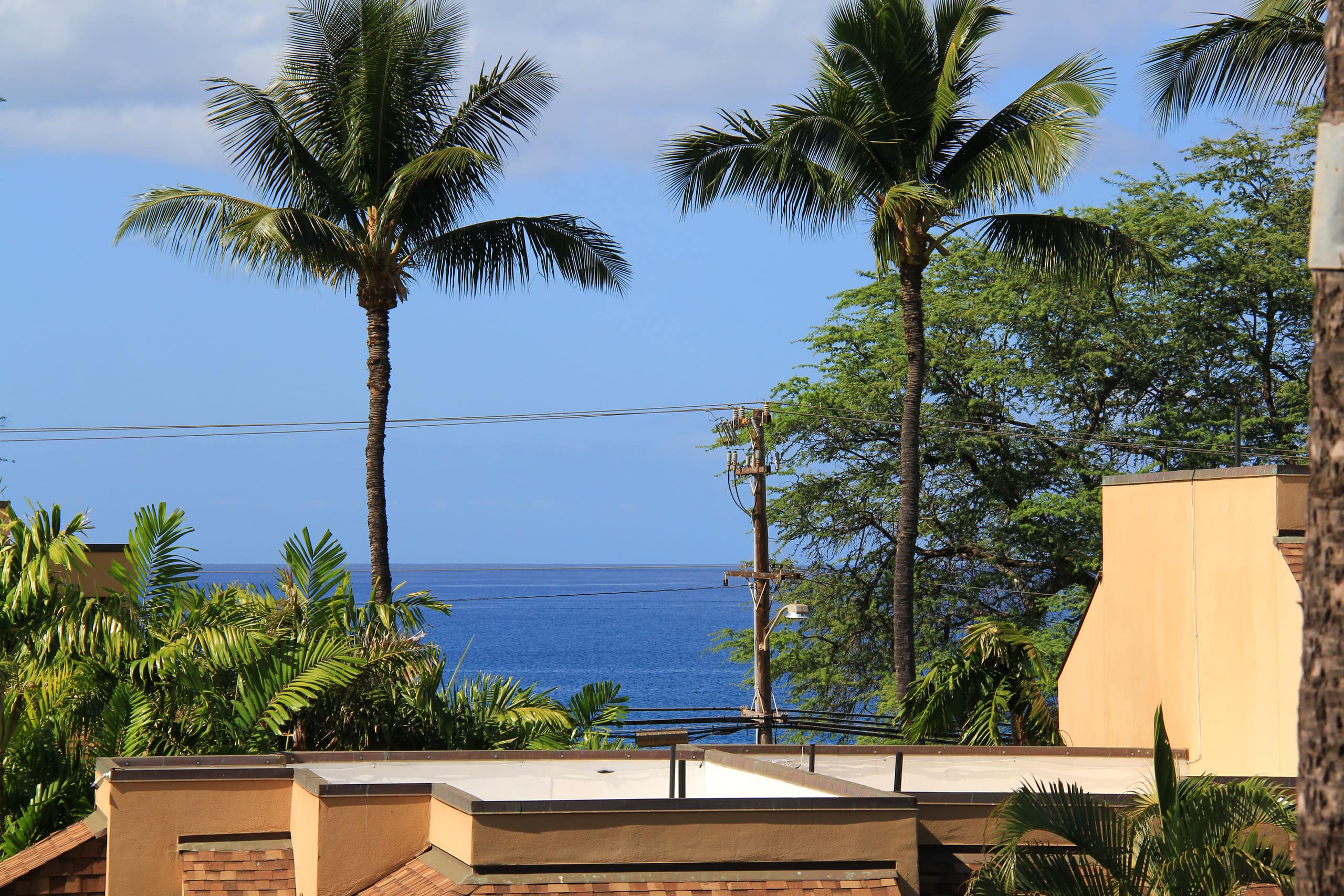 Condo in Kihei · ★4.98 · 1 bedroom · 2 beds · 1 bath - Image 16