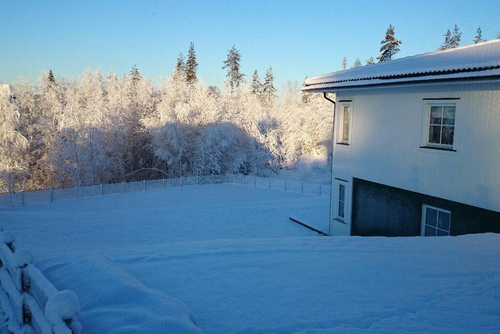 Lokasjonen i vintertid