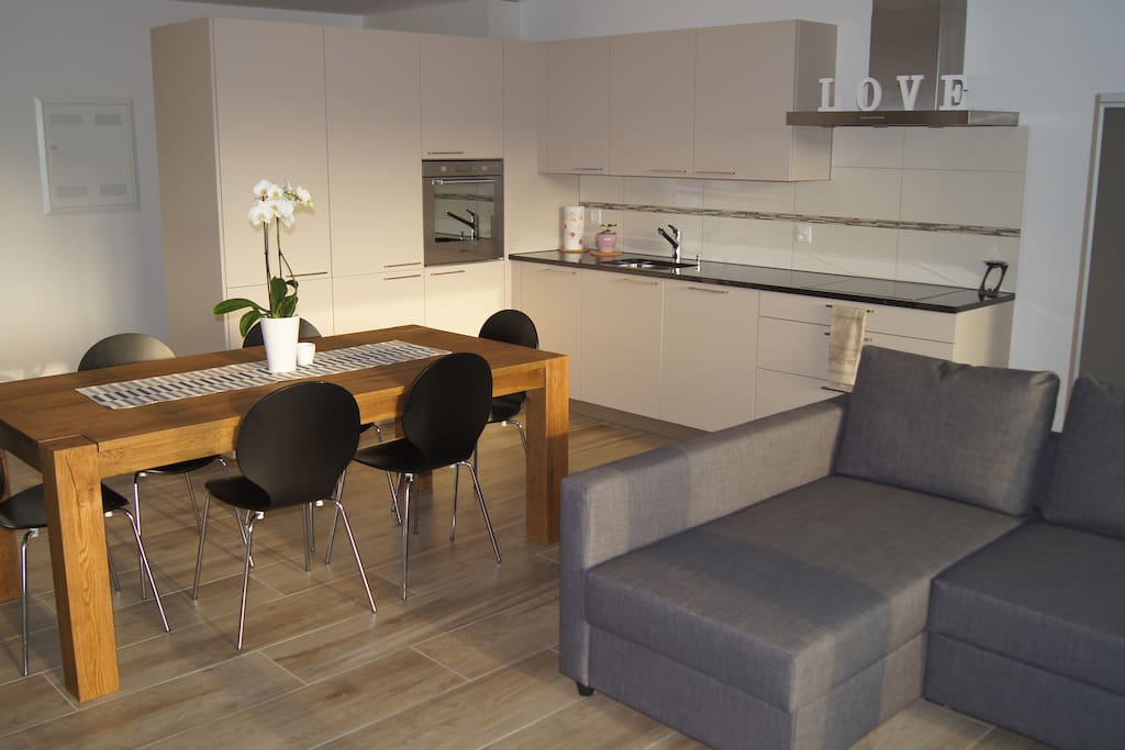Wohnzimmer mit offener Küche und Schlafsofa.