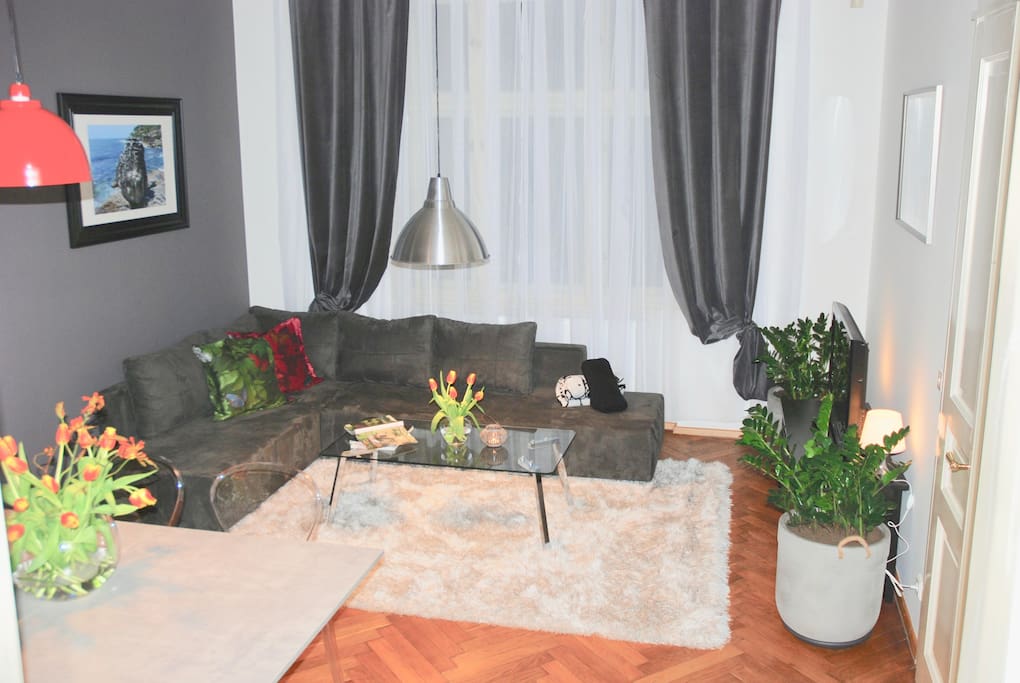 Living Room - Comfortable Sofa For 2 Extra Guests