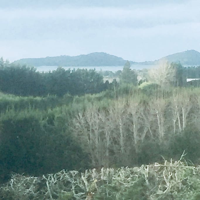 Sea Peaks