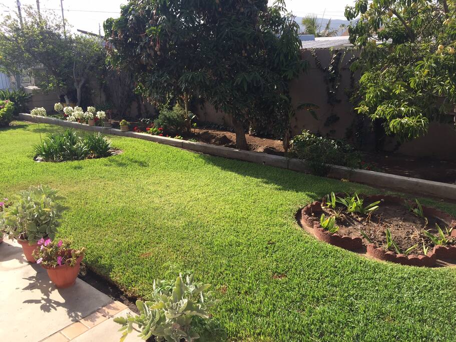 view from the balcony( shared space)/vista desde el balcon (compartido)