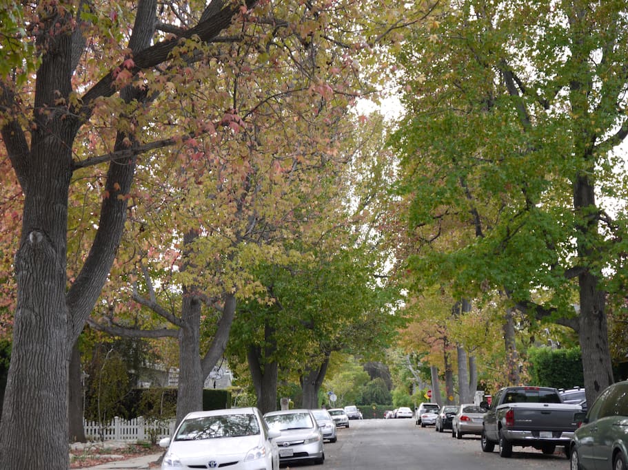 Beautiful Brentwood Glenn