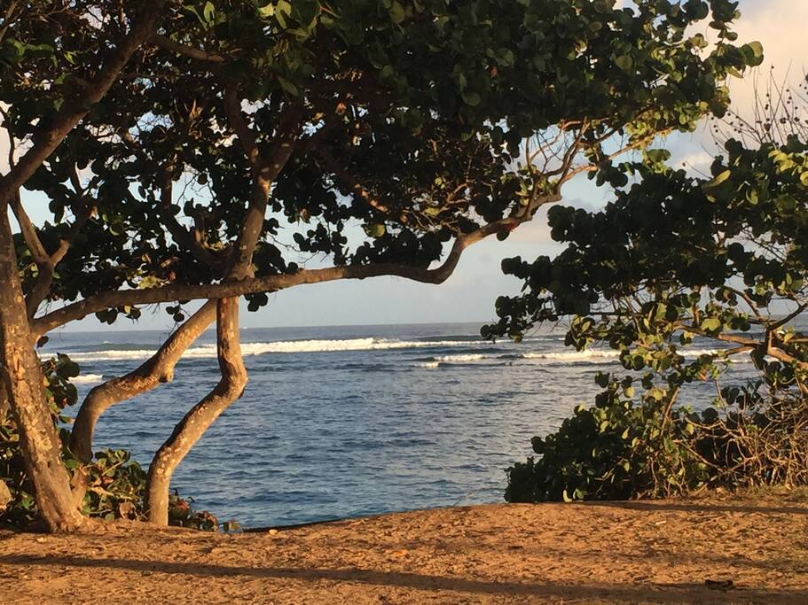 Ocean is less than 100 feet from the house.