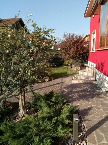 Coccinella alle porte della città