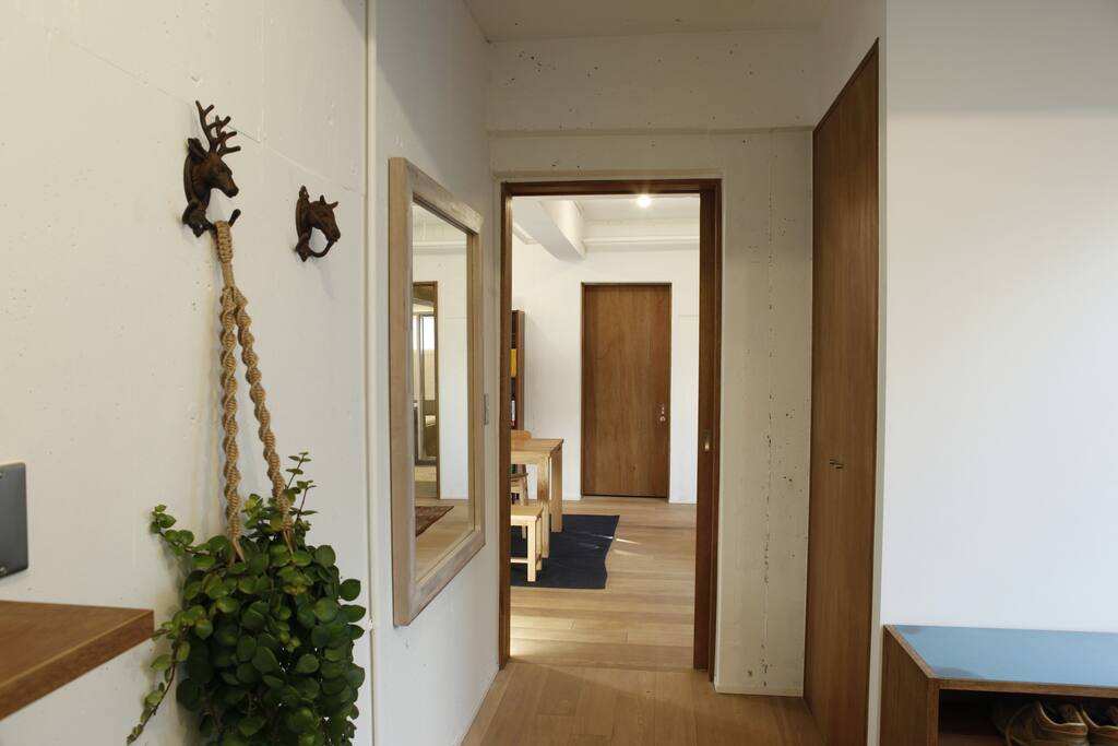 entrance hall way with big closet suitable for large suitcases