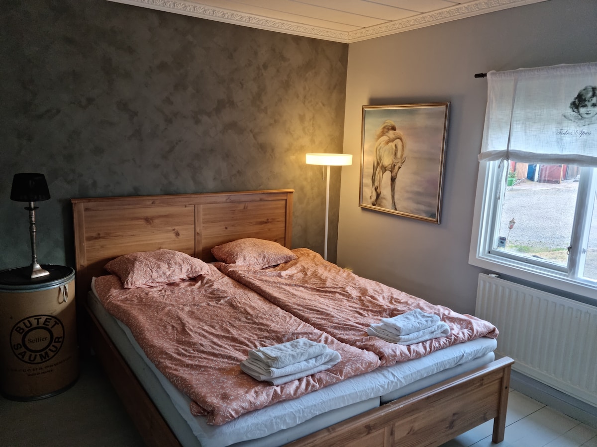 תמיד יש מיטות חדשות עם ההגעה. תריסי גלילה ורשתות נגד יתושים לערבי קיץ חמים 