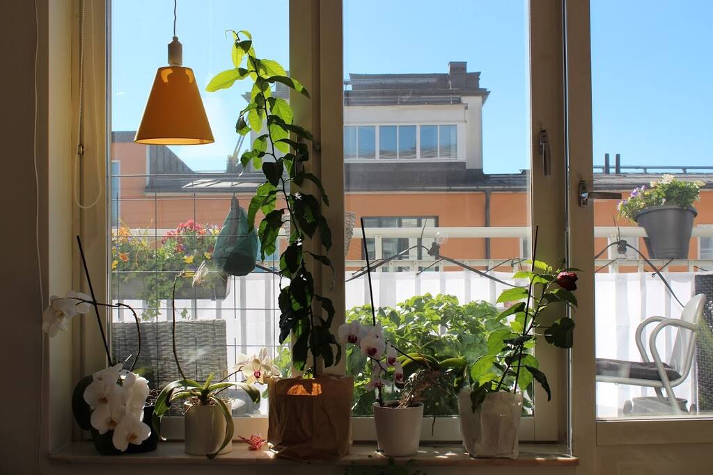 View from living room