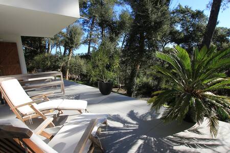 Cork oaks peacefull Haven