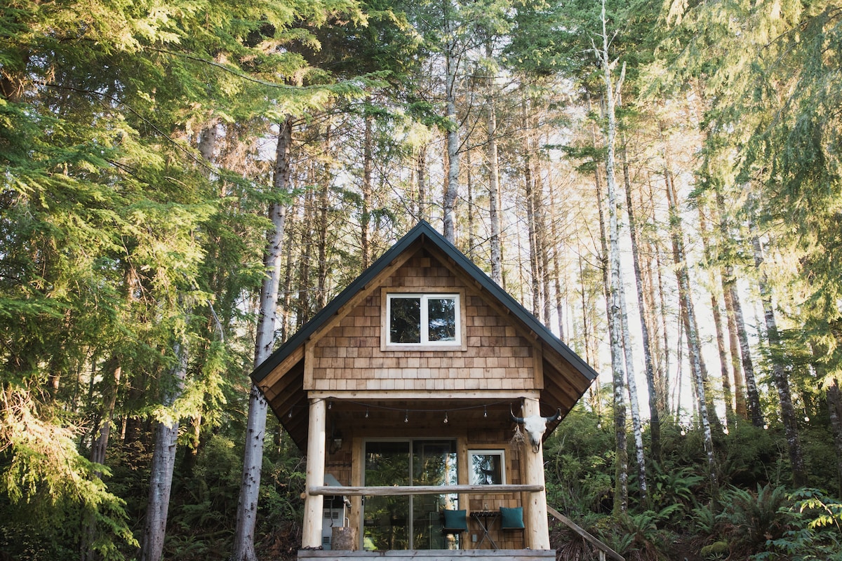 The rustic cabin is framed by towering trees, with its wooden exterior showcasing beautiful shingles. A welcoming porch invites guests to enjoy the peaceful surroundings, while large windows allow natural light to brighten the interior and reflect the lush greenery of the forest.