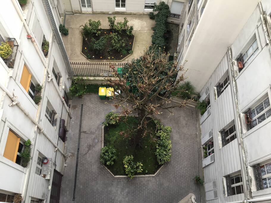 La Cour