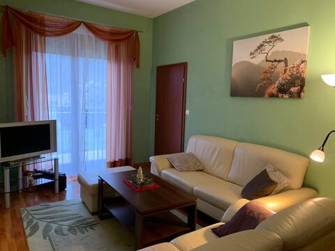 Successful Airbnb property: Quiet and peaceful apartment in the heart of Ustroń in Ustroń