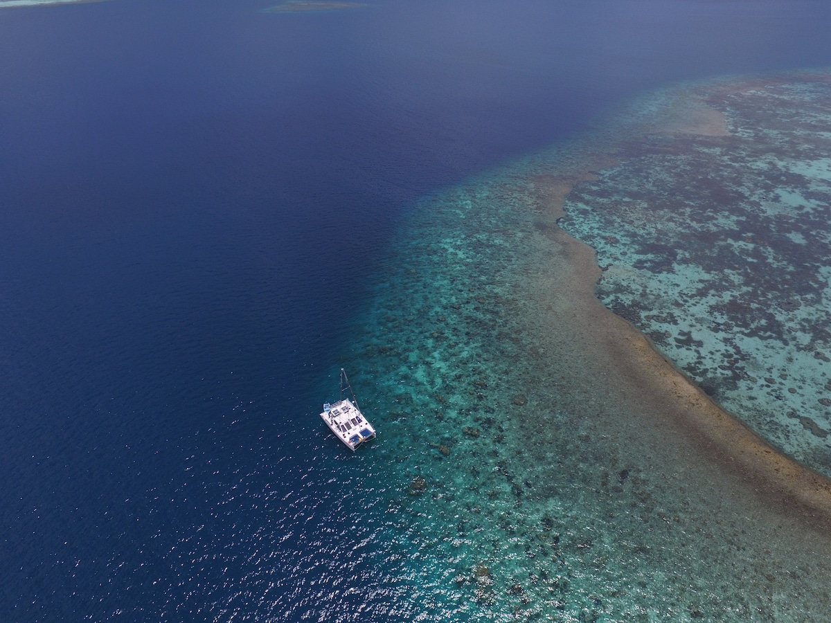 A sailing catamaran is anchored in calm waters, surrounded by vibrant coral reefs below the surface. The clear blue sea blends into deeper hues, revealing patches of sandy ocean floor. The tranquil setting showcases the natural beauty of the Karimunjawa Archipelago.