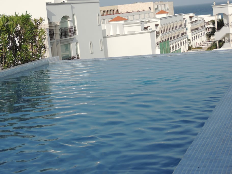 Roof top infinity pool (shared)