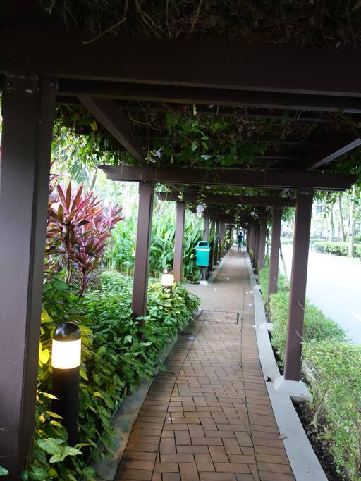 The Path