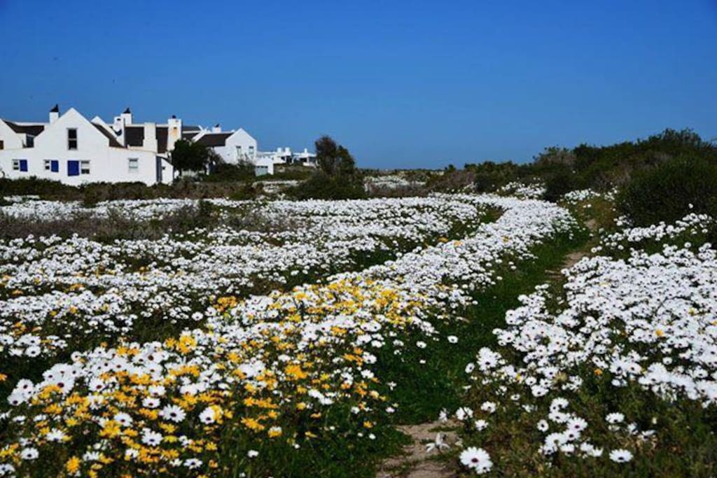 You will be amazed in the flower season