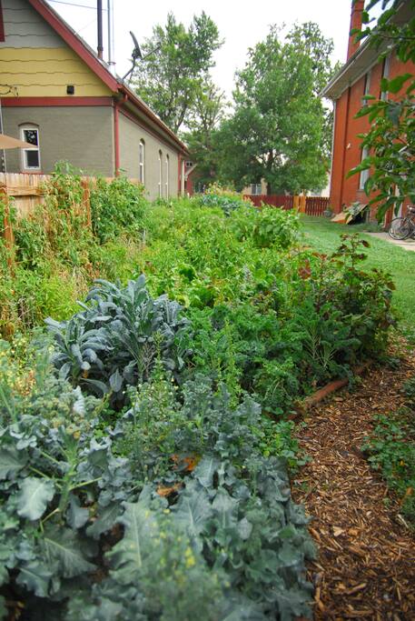 In the summer, there is a beautiful garden with fresh vegetables to enjoy.