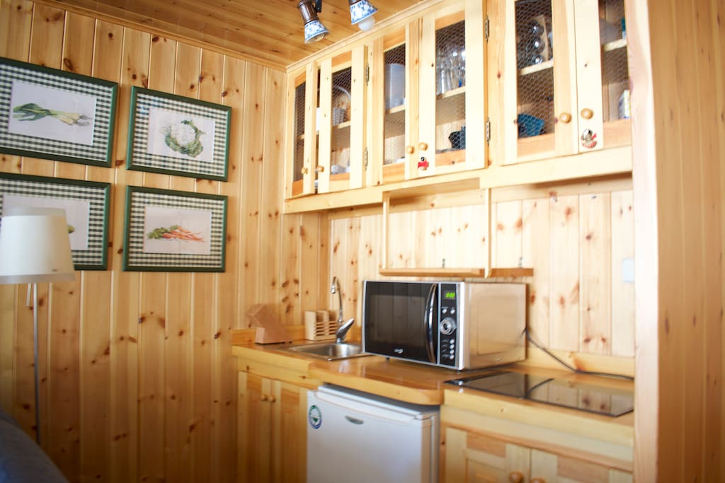Small Kitchen with microwave, fridge and stove.